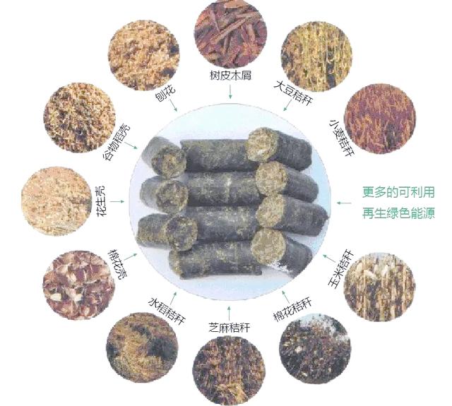 生物質(zhì)能源市場(chǎng)在2025年的新機(jī)遇與發(fā)展 從技術(shù)創(chuàng)新到全球應(yīng)用