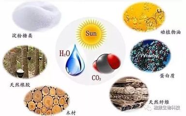 楹鼎掌握ESⅢ集成生物煉制技術(shù)背后的秘密——生物質(zhì)能源的新時(shí)代